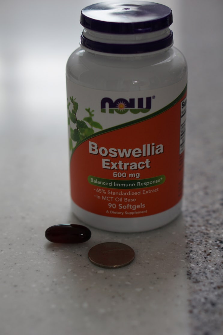  [아이허브 직구]Now Food Boswellia Extract 500mg