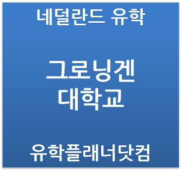  한국대학교 등록금과 비슷한 네덜란드 대학! 네덜란드 유학에 대해서 알아보자!