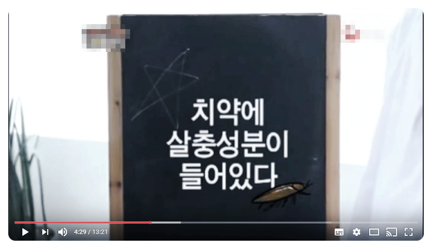  치약속 살충제 위험성