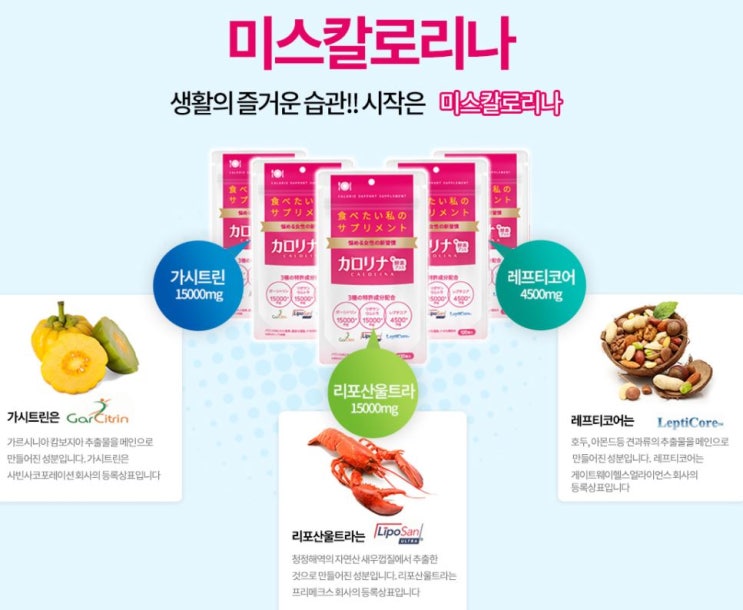  다이어트보조제 추천 (일본1등) 미스칼로리나 성분 소개