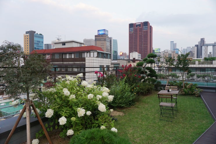  강남 에어비앤비 휴스테이, 예쁜 루프탑 테라스에 교통 접근성도 최고
