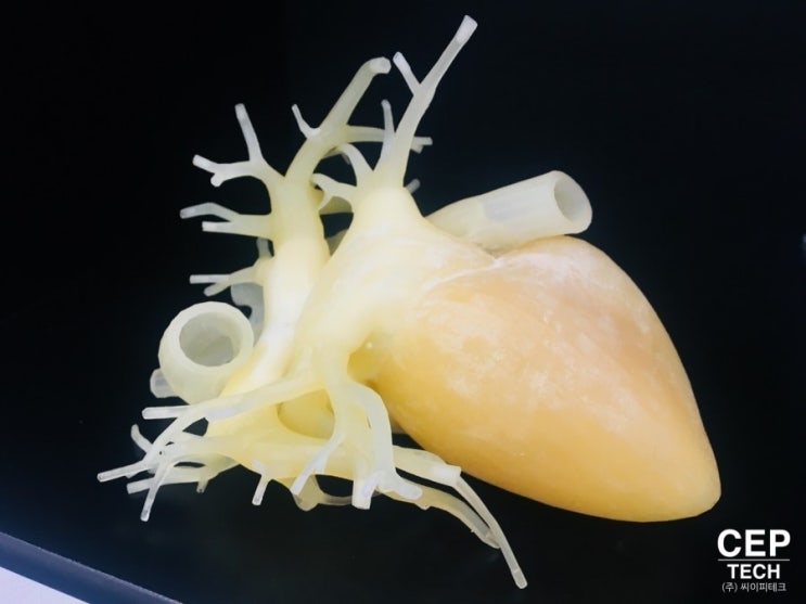 [3D 프린터 전문 (주) 씨이피테크] ProJet 2500 Plus 3D 프린터_고무재질을 사용한 심장 모형 제작 