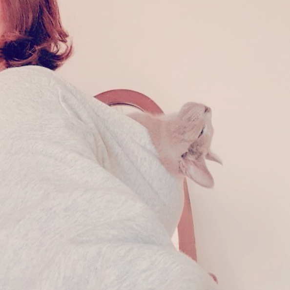  [러시안블루 102일차]후드티로 업었다옹