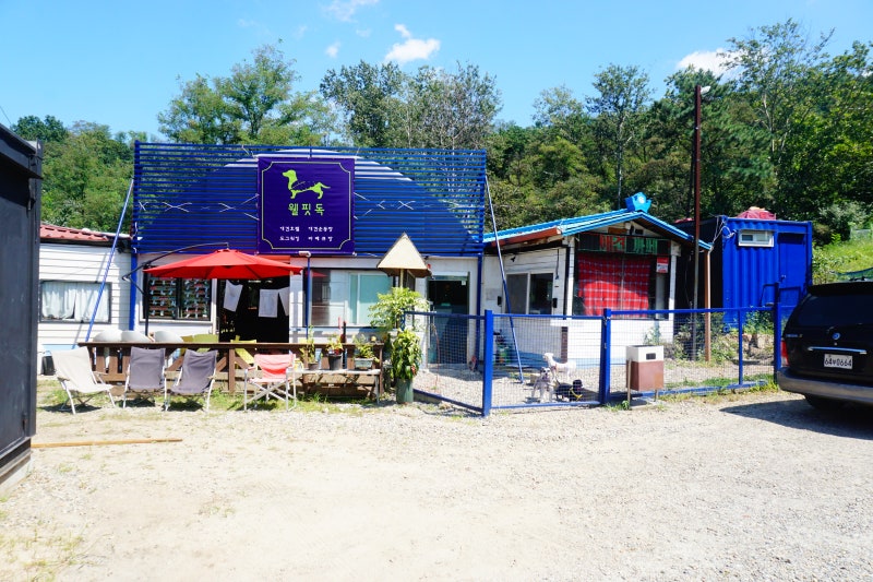 웰핏독