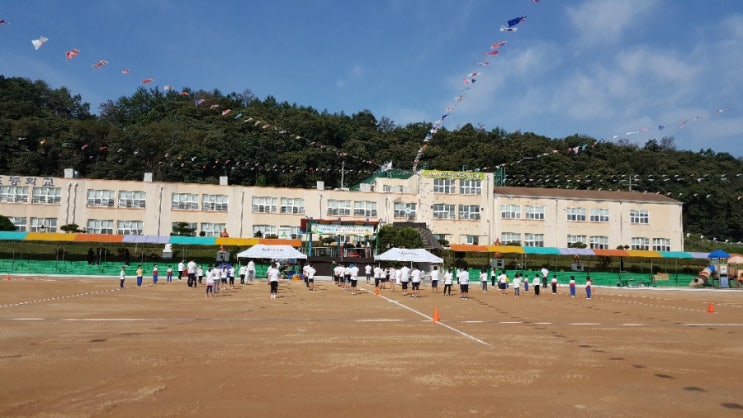  준석이 운동회날