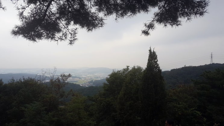  성묘 다녀왔습니다.