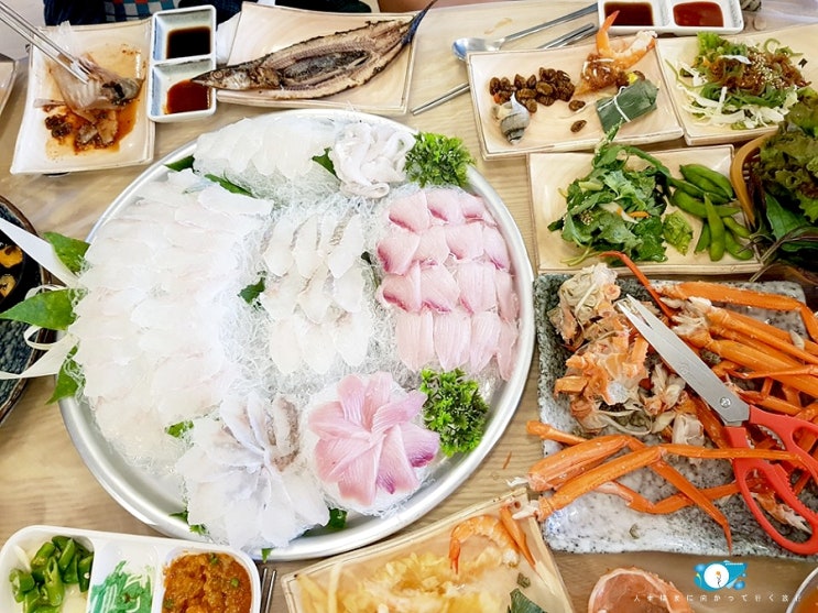  [강원여행] 꽃길만 걷는 가을여행 _ ④ 서민갑부 쟁반회 강릉 그린횟집