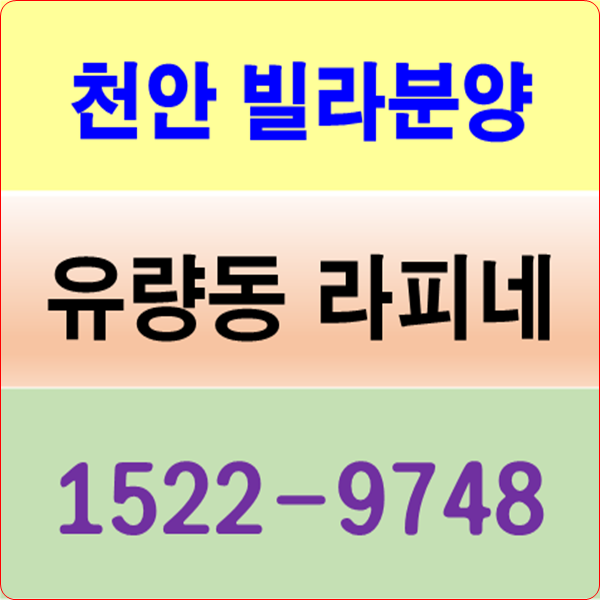  천안 빌라분양 유량동 라피네 마감임박!!