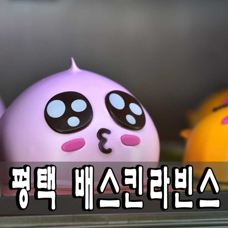 베스킨라빈스 핸드팩 세트 베라 기프티콘 받아서 배스킨라빈스 쿼터로 선택했어요~