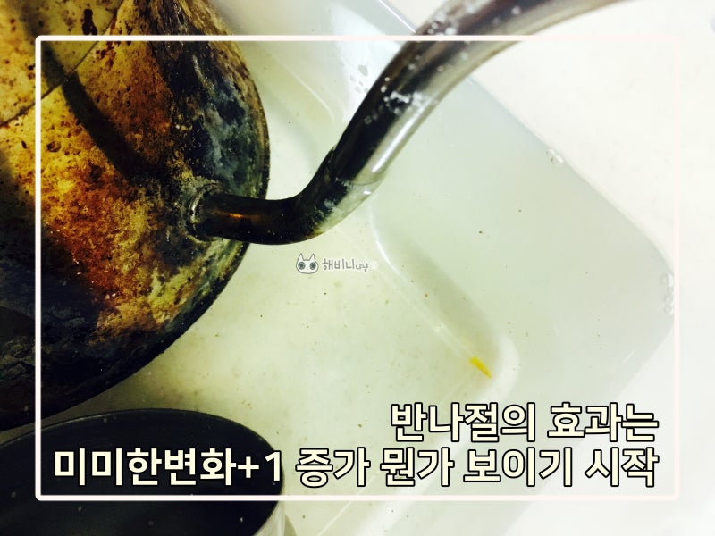 까맣게 탄 스댕냄비, 새것처럼 깨끗하게 닦는 방법 간단해! 주전자가 반짝반짝