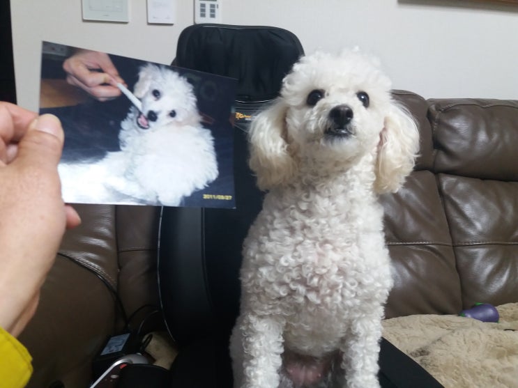  최근에 꾸었던 꿈은 무엇이었나요?