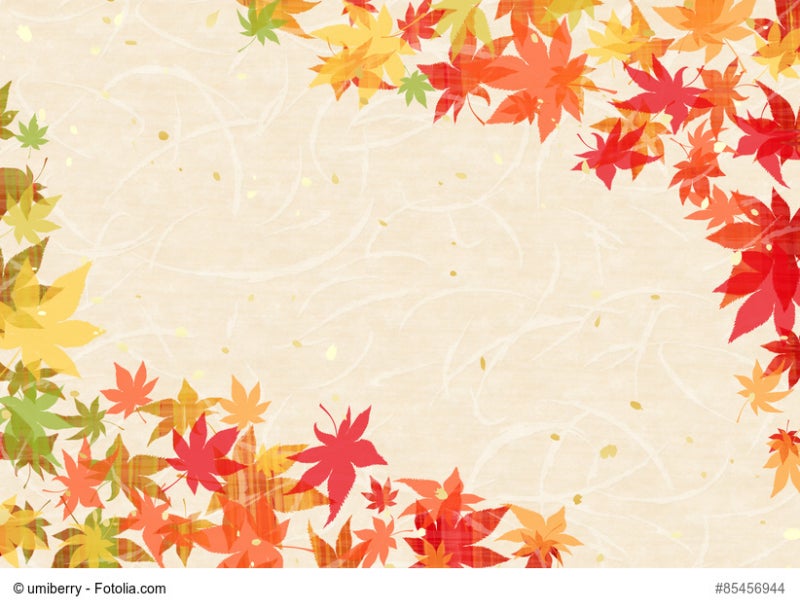 가을 일러스트ㅣ시선을 사로잡는 단풍&낙엽 일러스트 모음 : 네이버 블로그