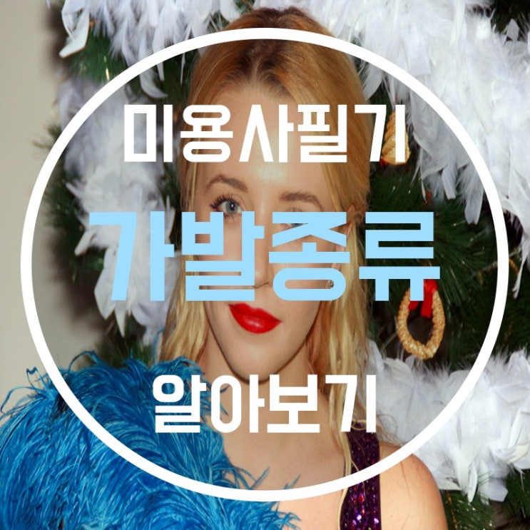  가발종류 헤어가발 에 대해 알아보자!!