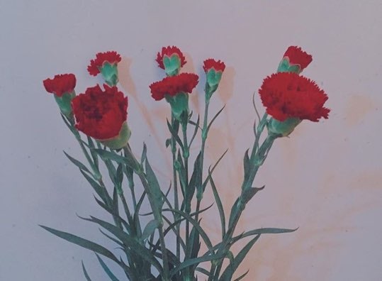 소개팅 남자심리 - 간보듯이 연락하는 이남자 뭘까?? : 네이버 블로그 소개팅 남자심리 - 간보듯이 연락하는 이남자 뭘까?? : 네이버 블로그