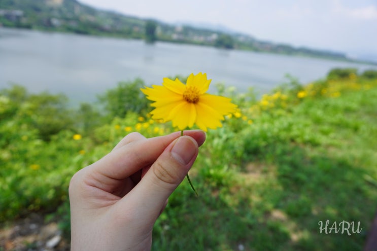  [15.7.15. 수 3day ] 서울에서 부산까지 걸어서 국토종주