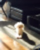엉클대도 위치,엉클대도 마이클,엉클대도 직원,엉클대도 월급,엉클대도 연봉,엉클대도 주식,엉클대도 채용,