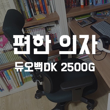 등이 편안한 의자 듀오백 DK2500G 구매후기