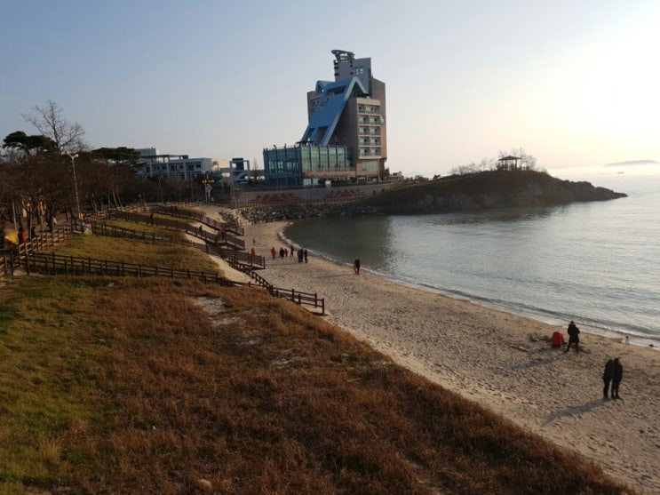 겨울바다 모항 변산반도