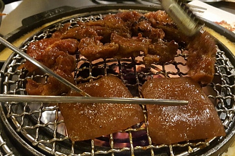 신마포갈매기제주 이미지