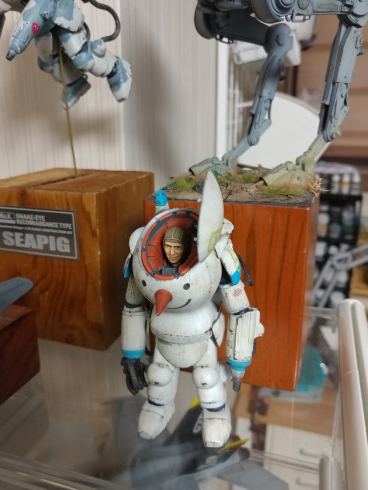  1/20 S.A.F.S. 'Snow Man'-2