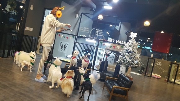 사진 5