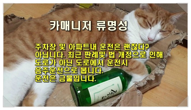  음주 및 음주 운전에 관한 오해와 진실