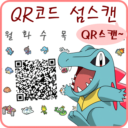  포켓몬스터 썬문 섬스캔 QR스캔 QR코드 묶음