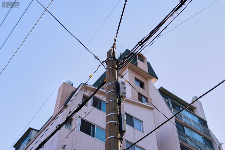  전봇대