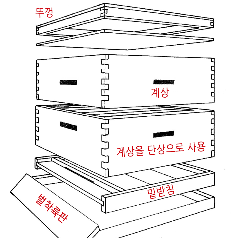 단상과 계상 : 네이버 블로그