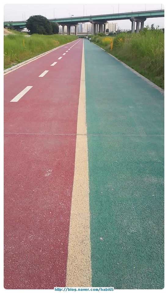  블로그 관리 어떤게 정답일까?