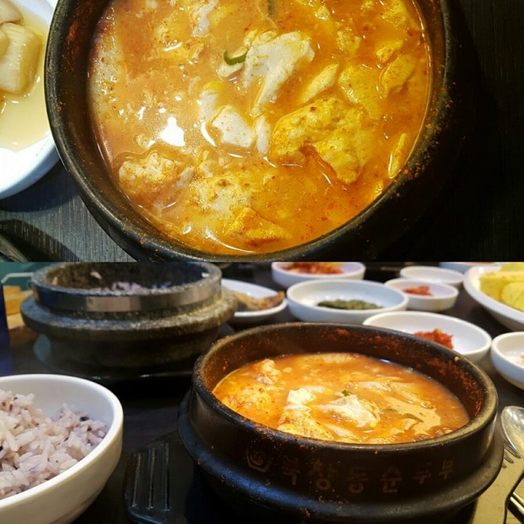  순두부찌개