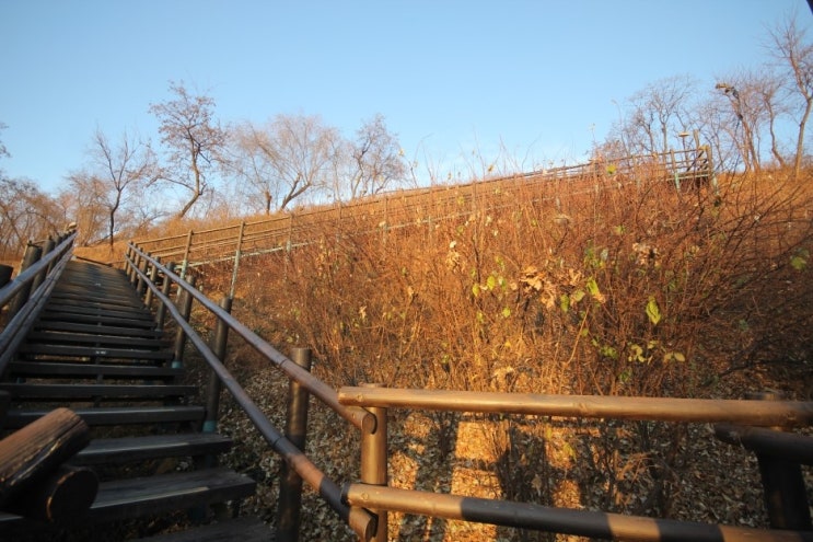 하늘공원 하늘길 화담숲 보행로 보행길 하늘숲길을 담다