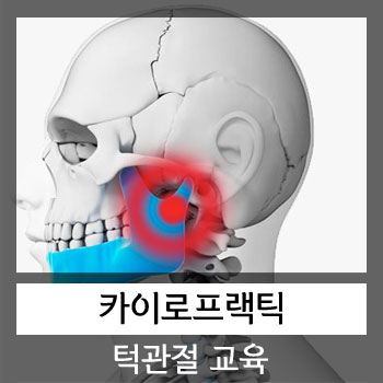  턱관절(TMJ) 카이로프랙틱 교육 강의