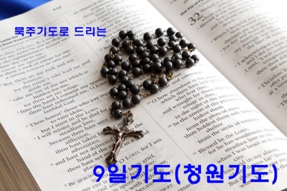 9일 기도(청원 기도 : 고통의 신비) : 네이버 블로그 9일 기도(청원 기도 : 고통의 신비) : 네이버 블로그