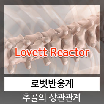 로벳반응계(Lovett Reactor) 추골의 상관관계
