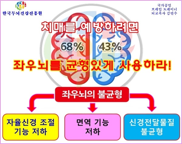 좌뇌 코