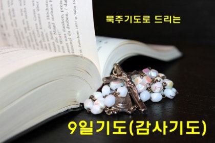 9일 기도(감사 기도 : 고통의 신비) : 네이버 블로그 9일 기도(감사 기도 : 고통의 신비) : 네이버 블로그