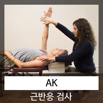 신체 언어(우리 몸은 거짓 말 하지 않는다.)