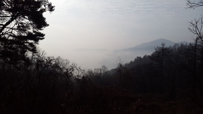  양평군 신원1리 - 몽양여운형선생의 고향, 몽양여운형생가기념관이 있는 마을 최근 모습