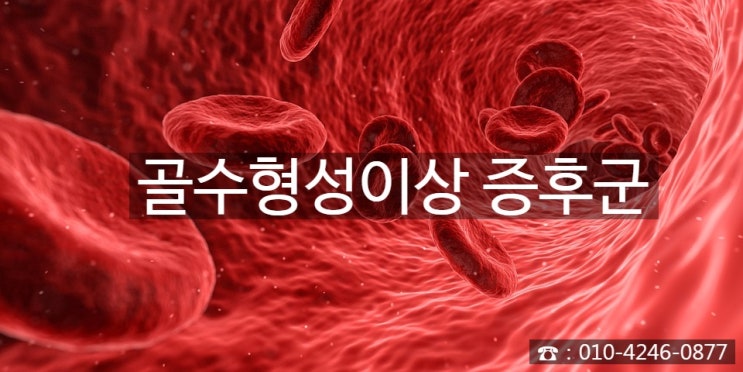  골수 형성 이상 증후군[D46] 경계성종양 과소지급?