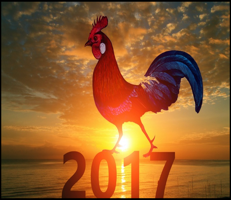 2017년 2월1일부터 시행되는 제도들