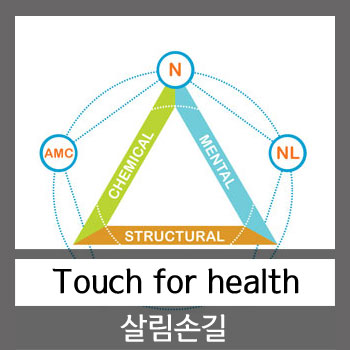  살림 손길 Kinesiology 란?