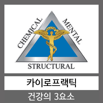 카이로프랙틱 건강의 3요소