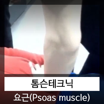  카이로프랙틱 교육강의(톰슨테크닉 요근교정)