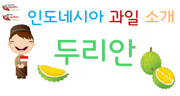  롬복 여행 열대 과일 <과일의 왕, 두리안>