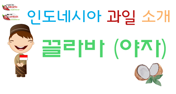  롬복 신혼여행 열대 과일 <야자,끌라빠>