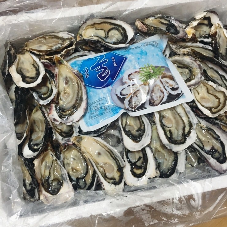 김장철 통영굴택배, 김장굴택배, 김장김치 담그는 법, 김장통영굴택배, 김장굴주문, 김장김치양념만들기, 김장김치레시피 김장철굴1kg 김장철굴1kg으로 만족*