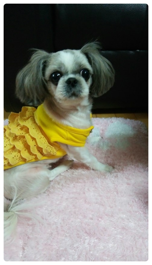  울집 막둥이~