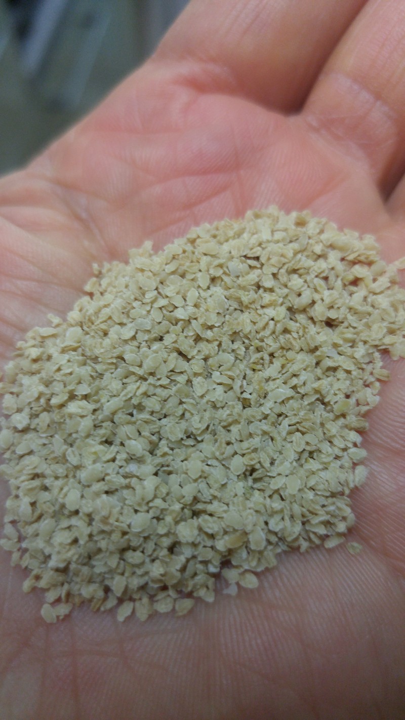 가바쌀 효능 몇 가지 : 네이버 블로그