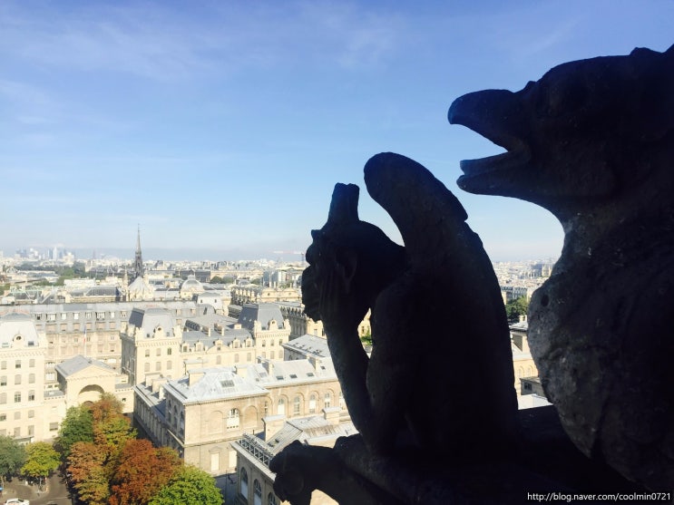 29 여자혼자 유럽여행 D+17 / 프랑스 / 노트르담대성당 Cathedral of Notre-Dame de Paris